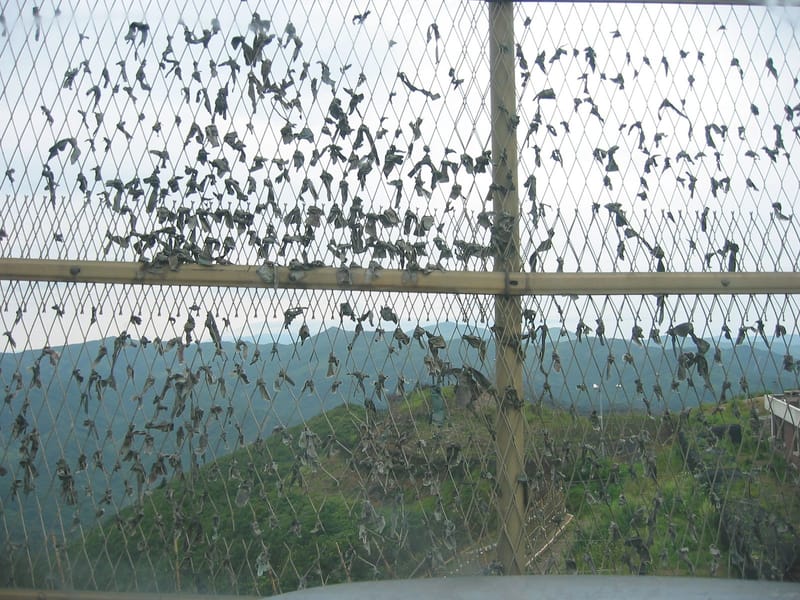 Several tiers of guarded fencing running across hills along the Korean Demilitarized Zone, seen from the Eulji Observatory