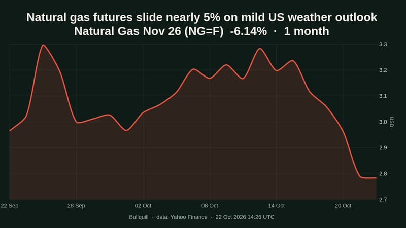 Natural gas futures fall 4.83% on mild US weather outlook